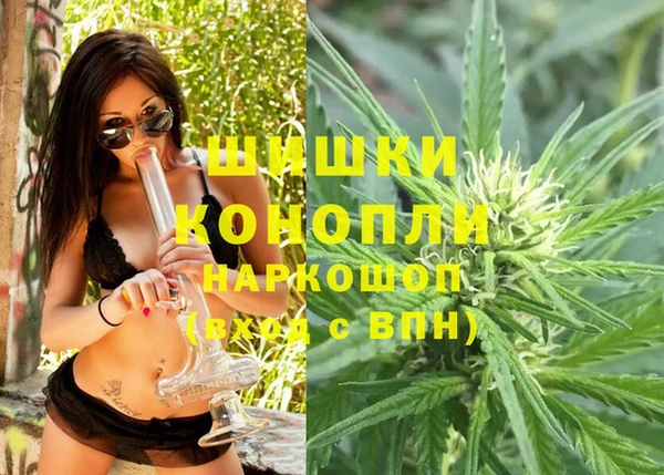PSILOCYBIN Лихославль