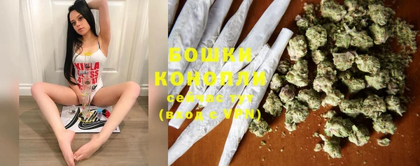 PSILOCYBIN Лихославль