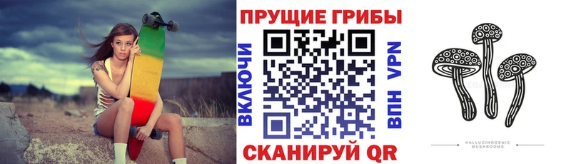 Галлюциногенные грибы Magic Shrooms  где купить наркоту  Дегтярск 